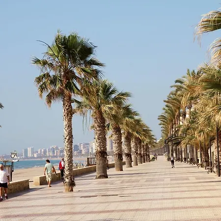 Mediterranean Soul